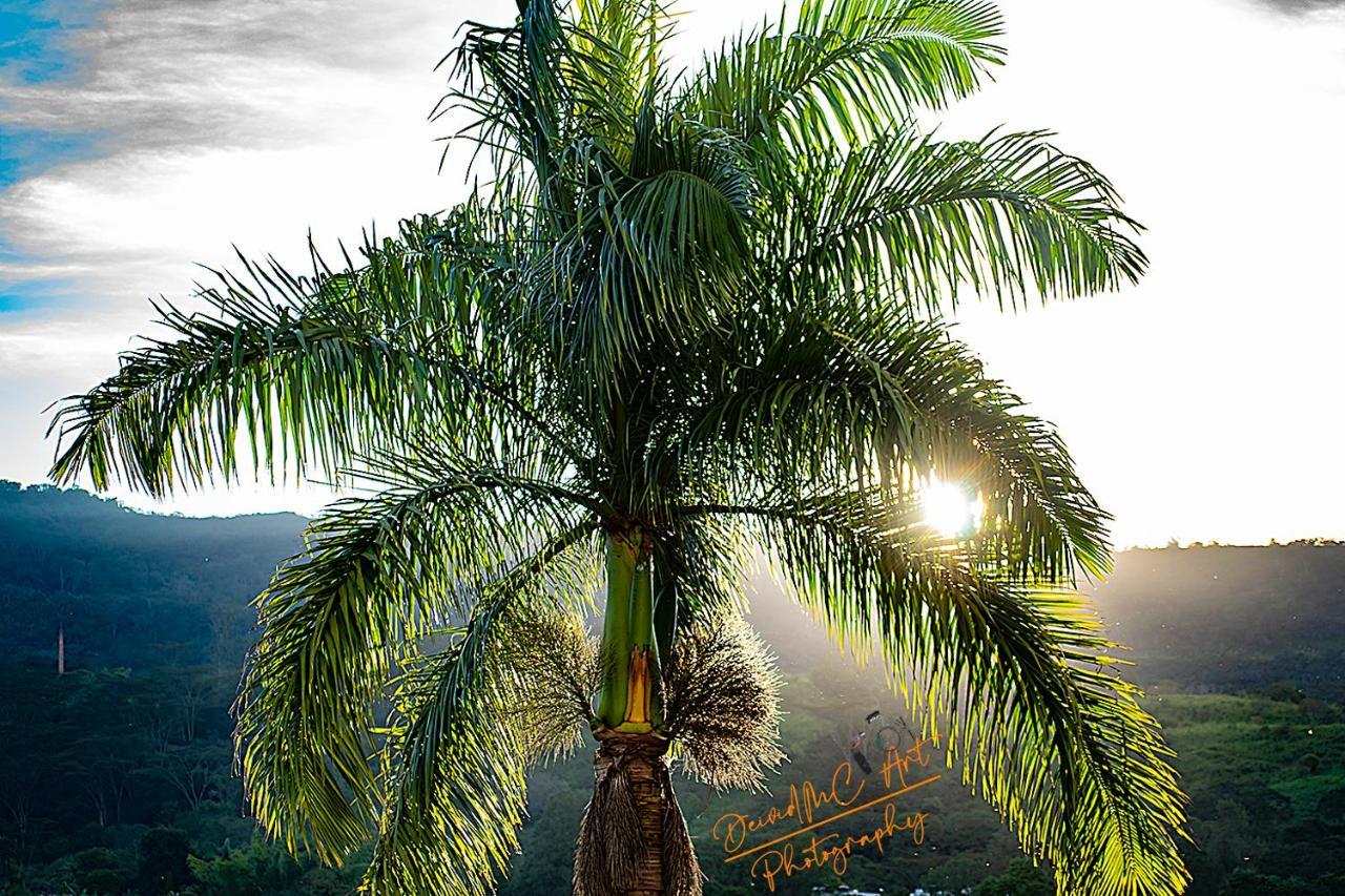Hotel Palmeras De Luz Moniquira Luaran gambar